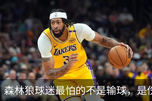 森林狼球迷最怕的不是输球，是伤病：一次投票投出了真心话